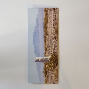 Metal photo print 8" x 20" Foo dog in the desert